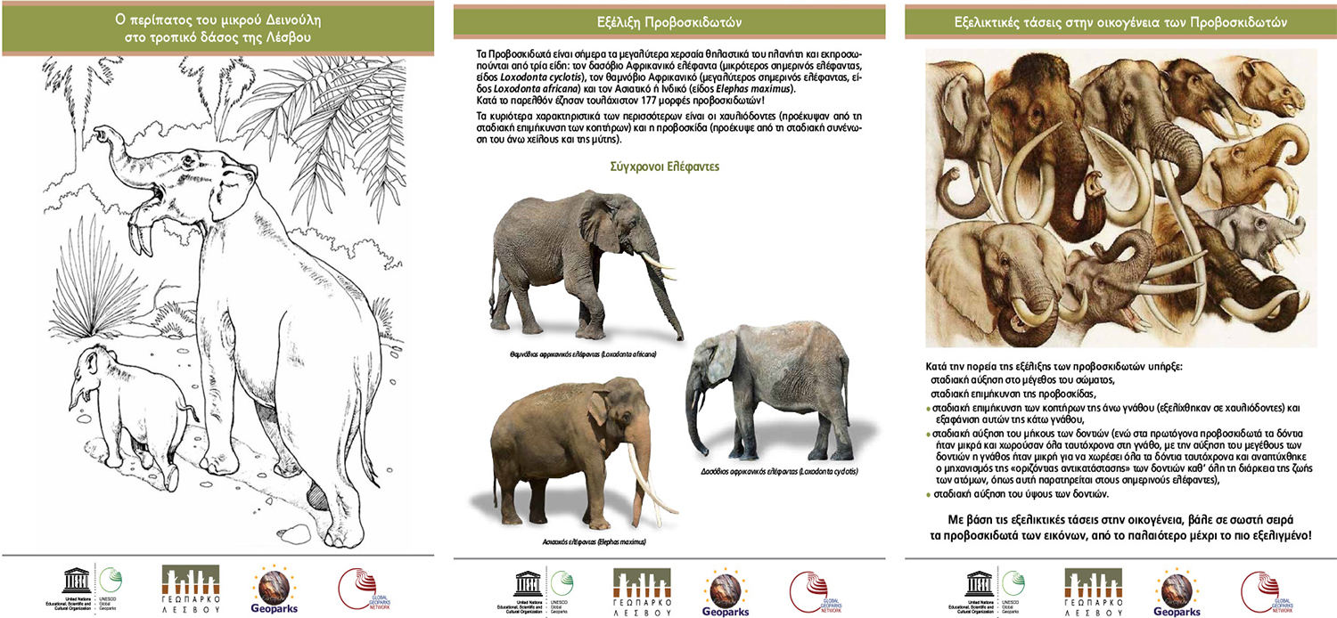 FOSSIL HUNTRESS: DEINOTHERIUM: PREHISTORIC ELEPHANTS