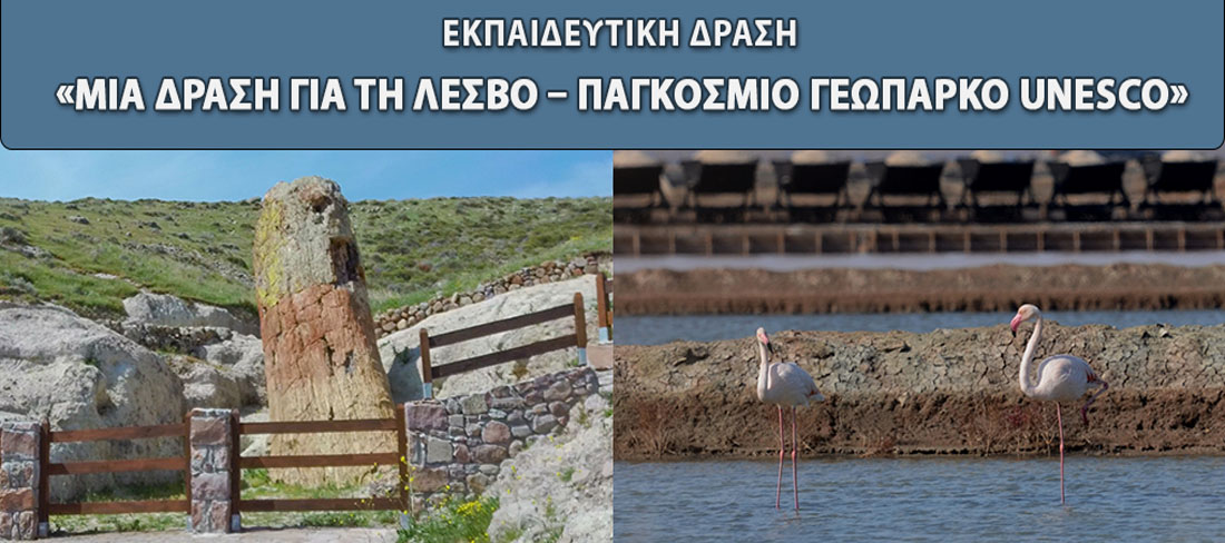 Educational Activity “An Action for Lesvos Island Unesco Global Geopark”